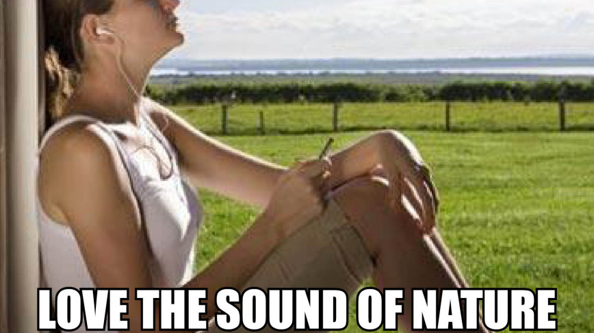 Visual of The Sound of Nature