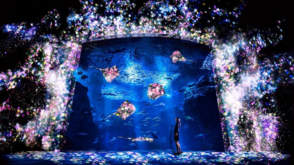 Visual of Digital Aquarium Powered by Real Fish