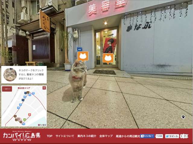 Visual of Forget Google Street View, Here's Cat Street View