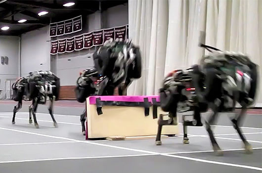 Visual of MIT Lets Robot Cheetah Off Leash