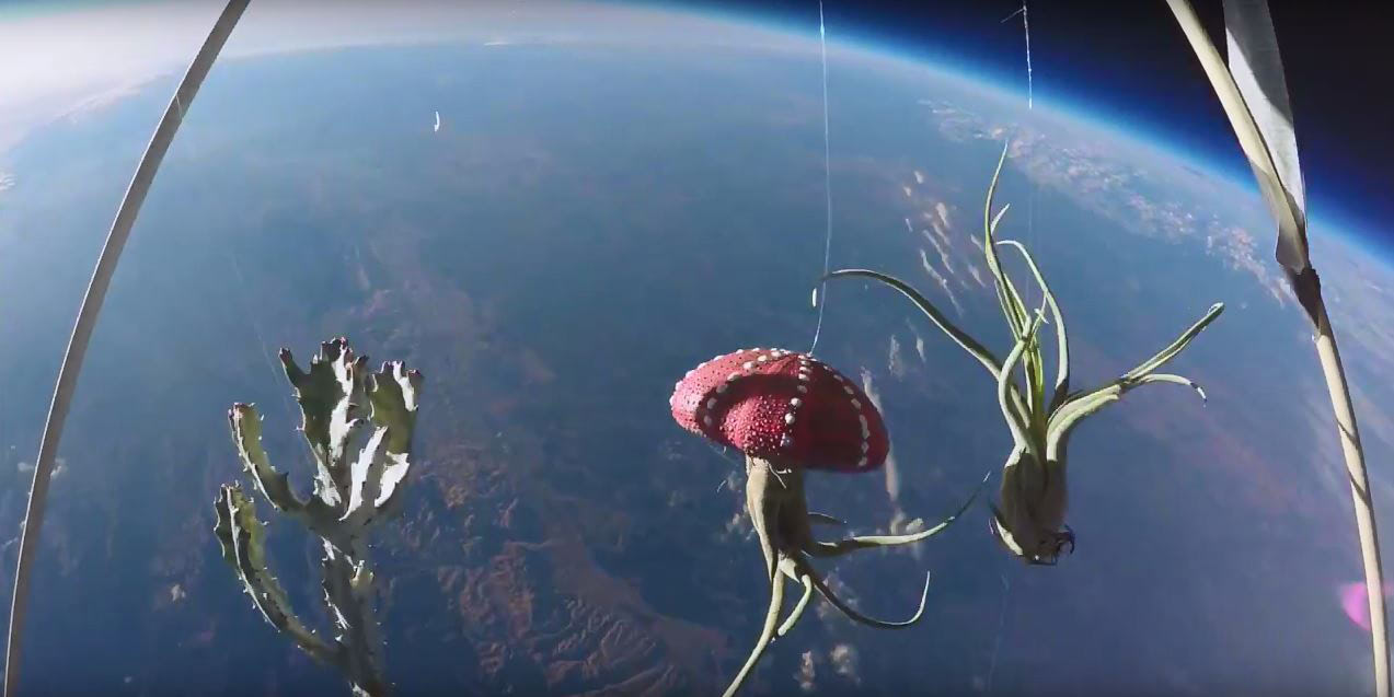 Visual of Stratospheric Sky Garden with Proto Life