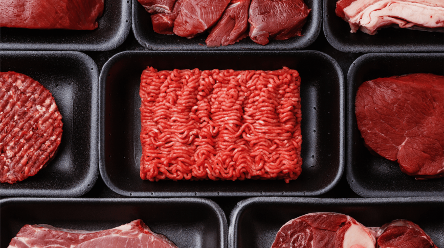 Visual of Bringing In Vitro Meat to the Market