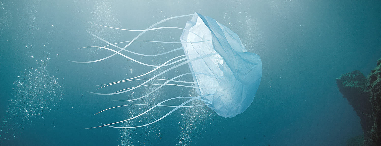 Visual of The Danger of a Plastic Sea