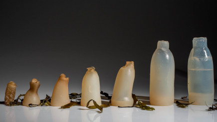 Visual of Designer Creates Water Bottles from Algae