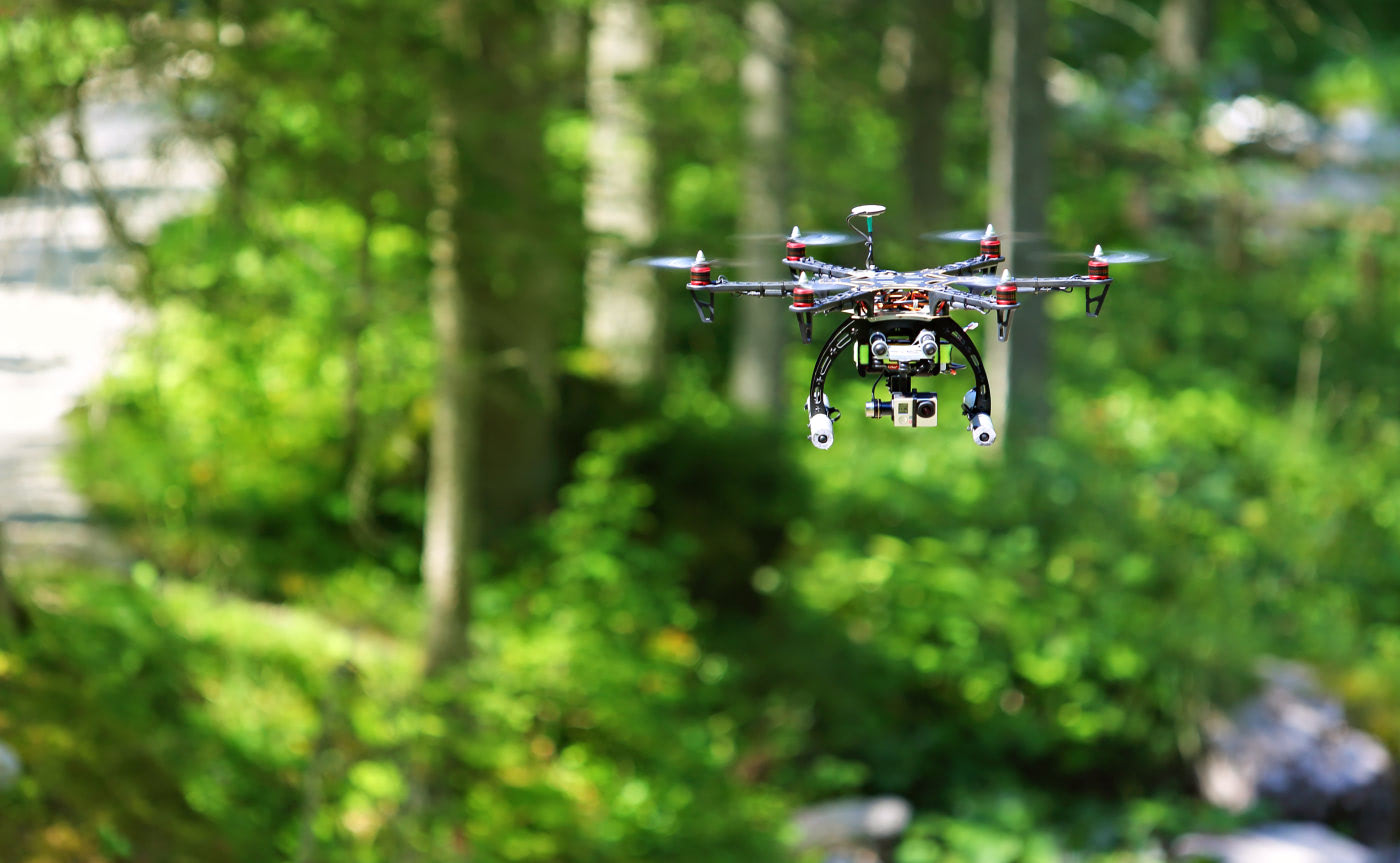 Visual of Lost in the Forest? The Drones Will Find You