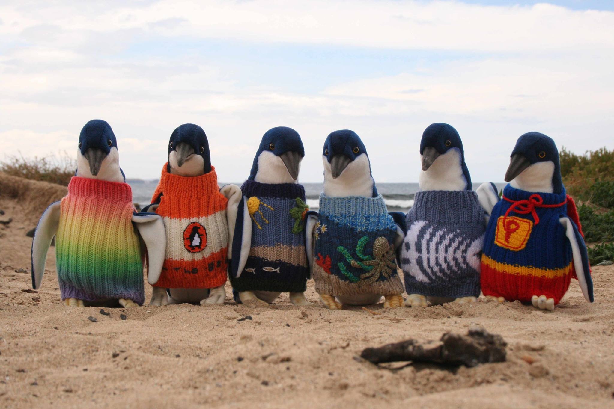 Visual of How Knitwear Can Save Penguins
