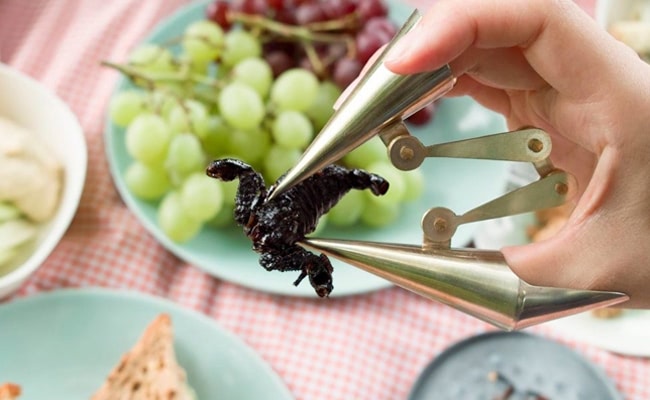 Visual of Cutlery Set to Eat Bugs