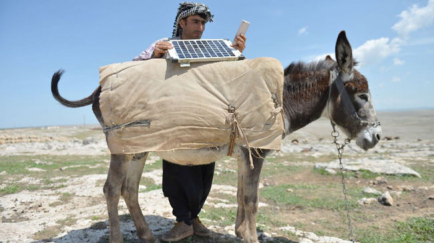 Visual of Solar-Powered Donkeys to Stay Online