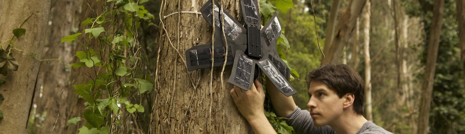 Visual of Old Cellphones to Fight Deforestation