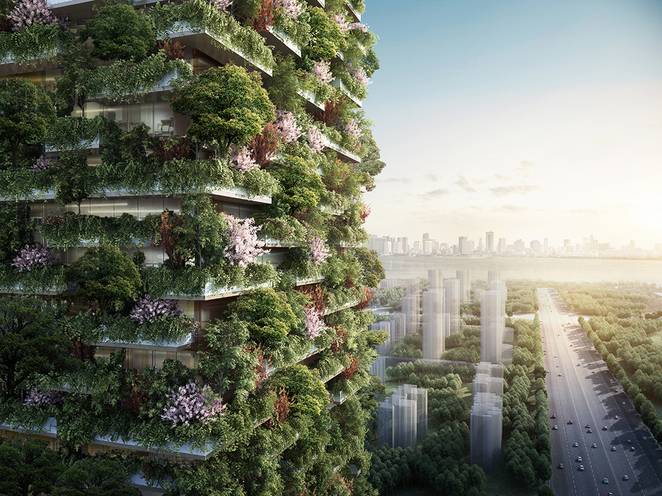 Visual of When Buildings Become Trees