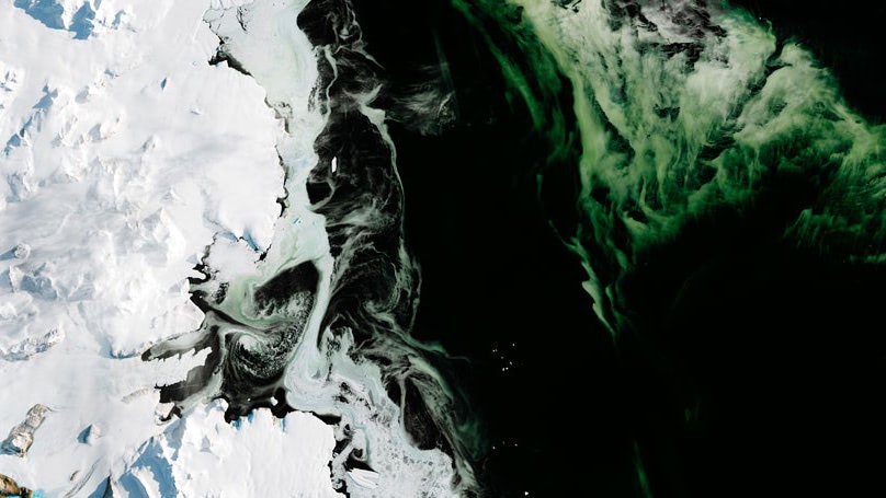 Visual of Antarctica Is Turning Green