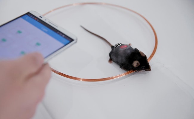 Visual of App Activates Cells That Manage Diabetes
