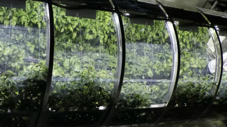 Visual of Greenhouse for Space Colonies