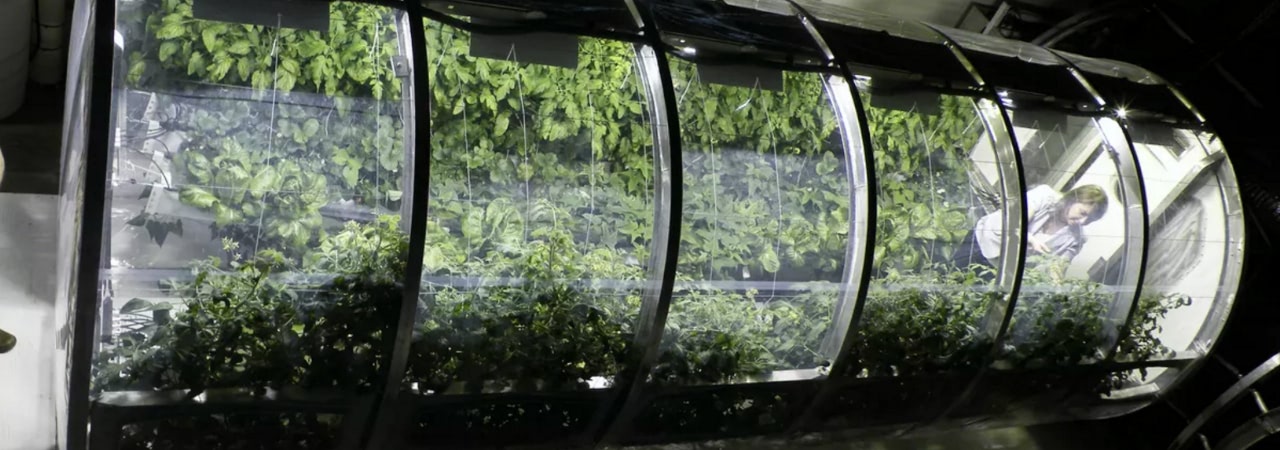 Visual of Greenhouse for Space Colonies