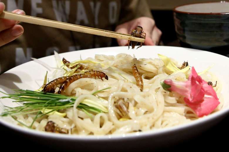 Visual of Insect Ramen: the New Food Trend