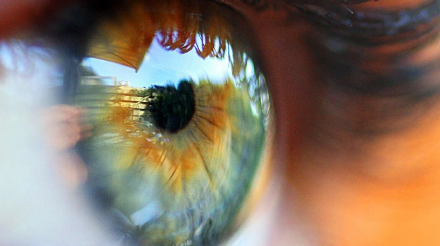 Visual of Looking into the Artificial Eye