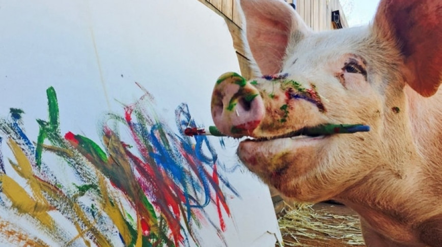 Visual of Pigcasso: the Painting Pig