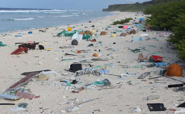 Visual of Plastic Beach