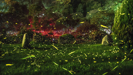 Visual of Replacing Fireflies with Lasers