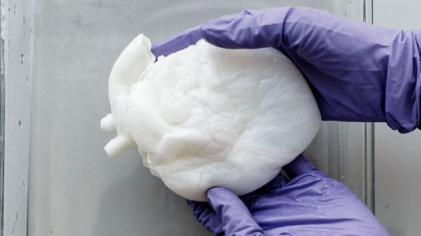 Visual of Scientists Create Ghost Heart