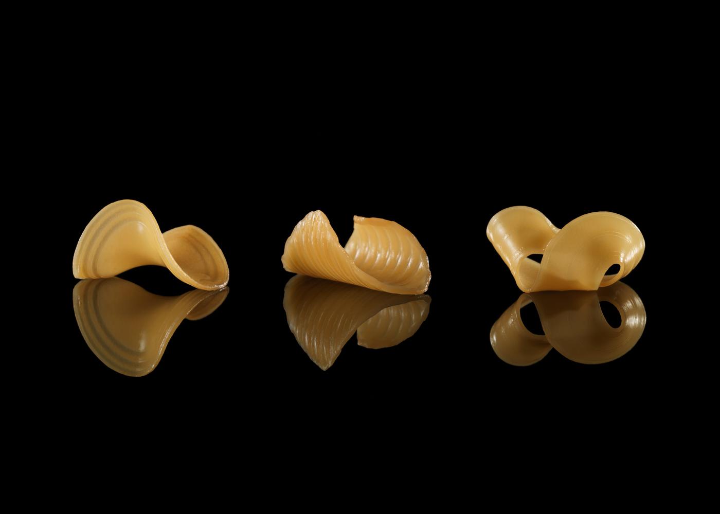 Visual of Transformative Appetite: Shape-Shifting Pasta