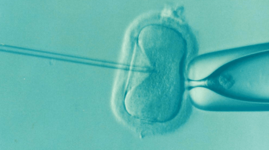 Visual of This controversial new test could be used to screen embryos for intelligence