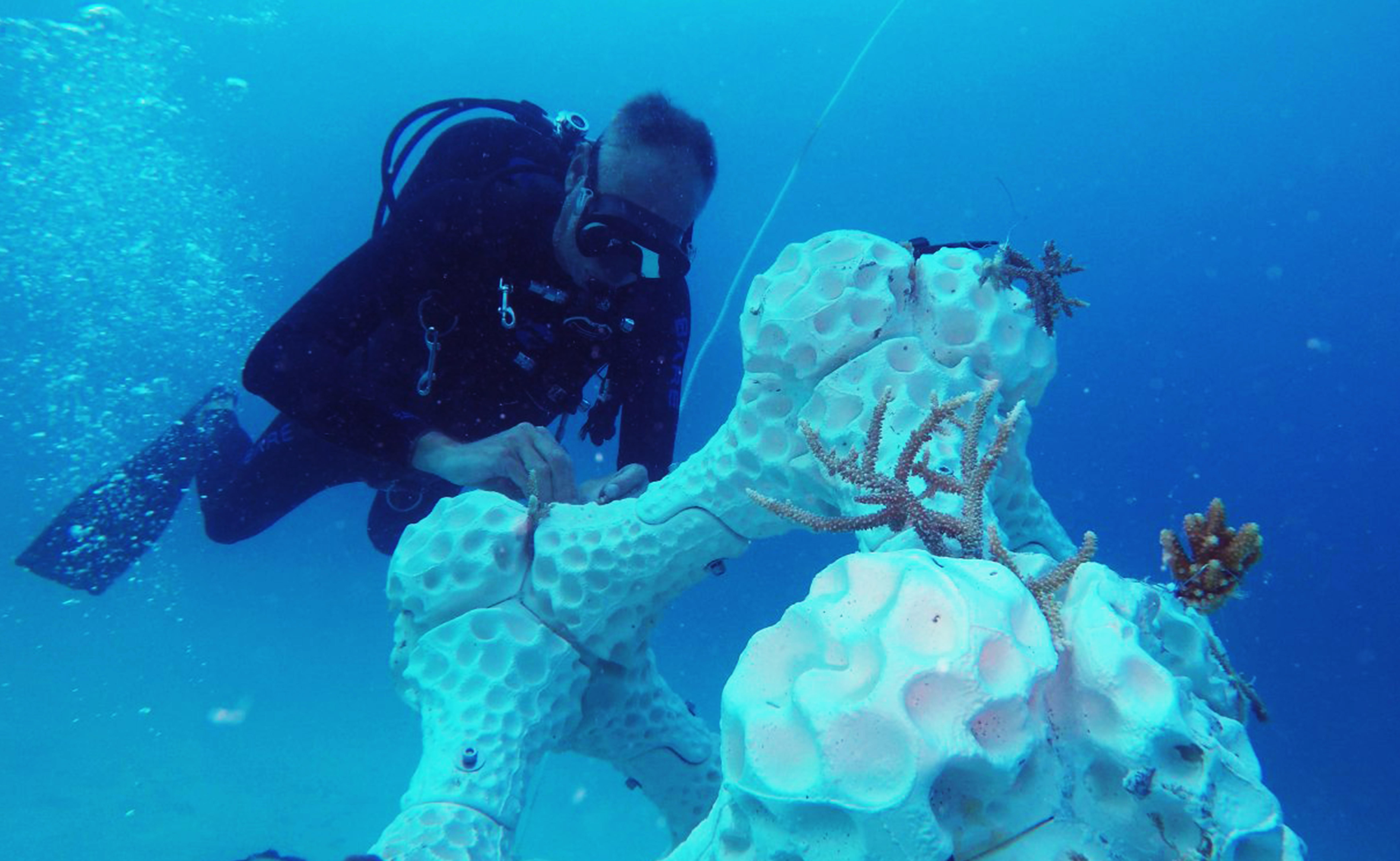 Visual of Adding a new dimension to marine restoration: 3D printing coral reefs