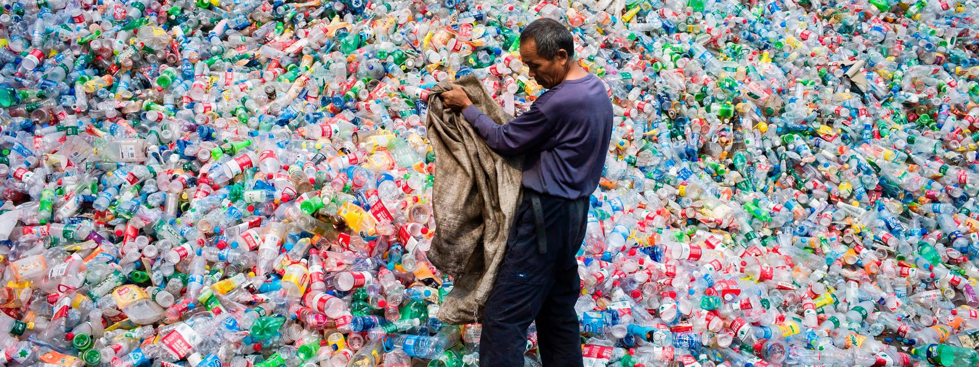 Visual of Scientists accidentally create mutant enzyme that eats plastic bottles
