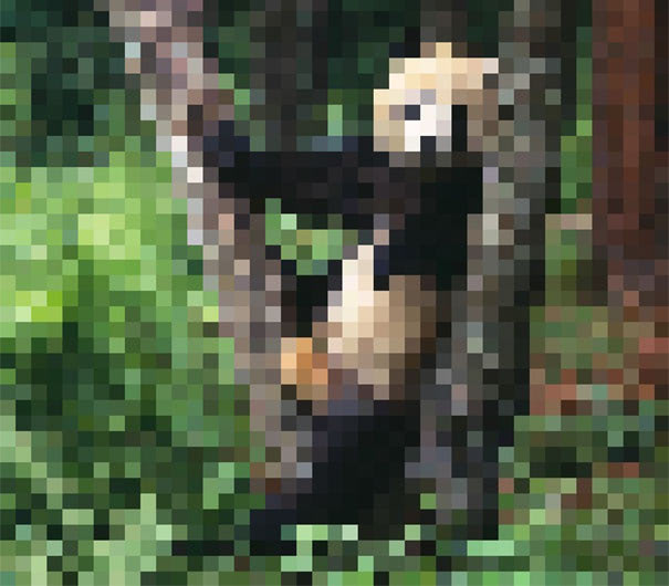 Visual of The remaining numbers of endangered animal species shown in pixels