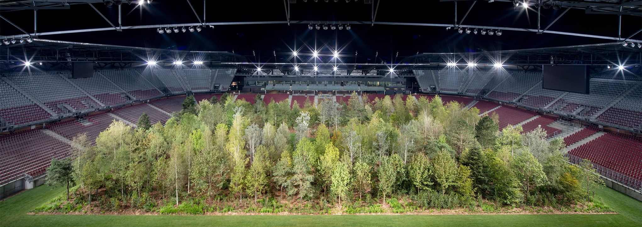 Visual of There are 299 trees growing in a football stadium