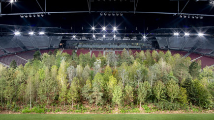 Visual of 299 trees grow in a football stadium