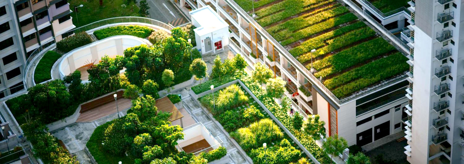 Visual of Green roofs improve the urban environment – so why don't all buildings have them?