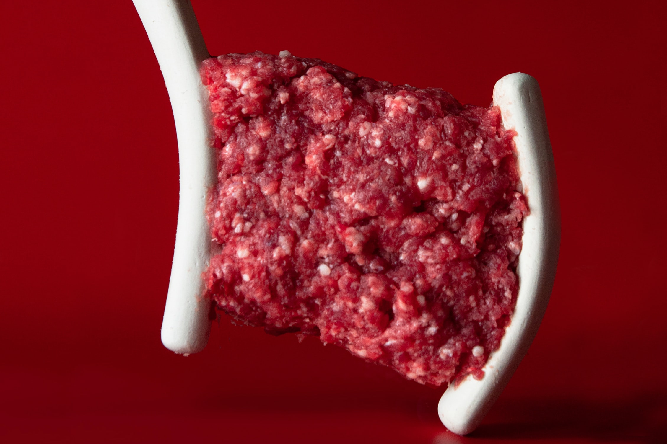 Visual of Artificial ceramic bones for a natural meat experience