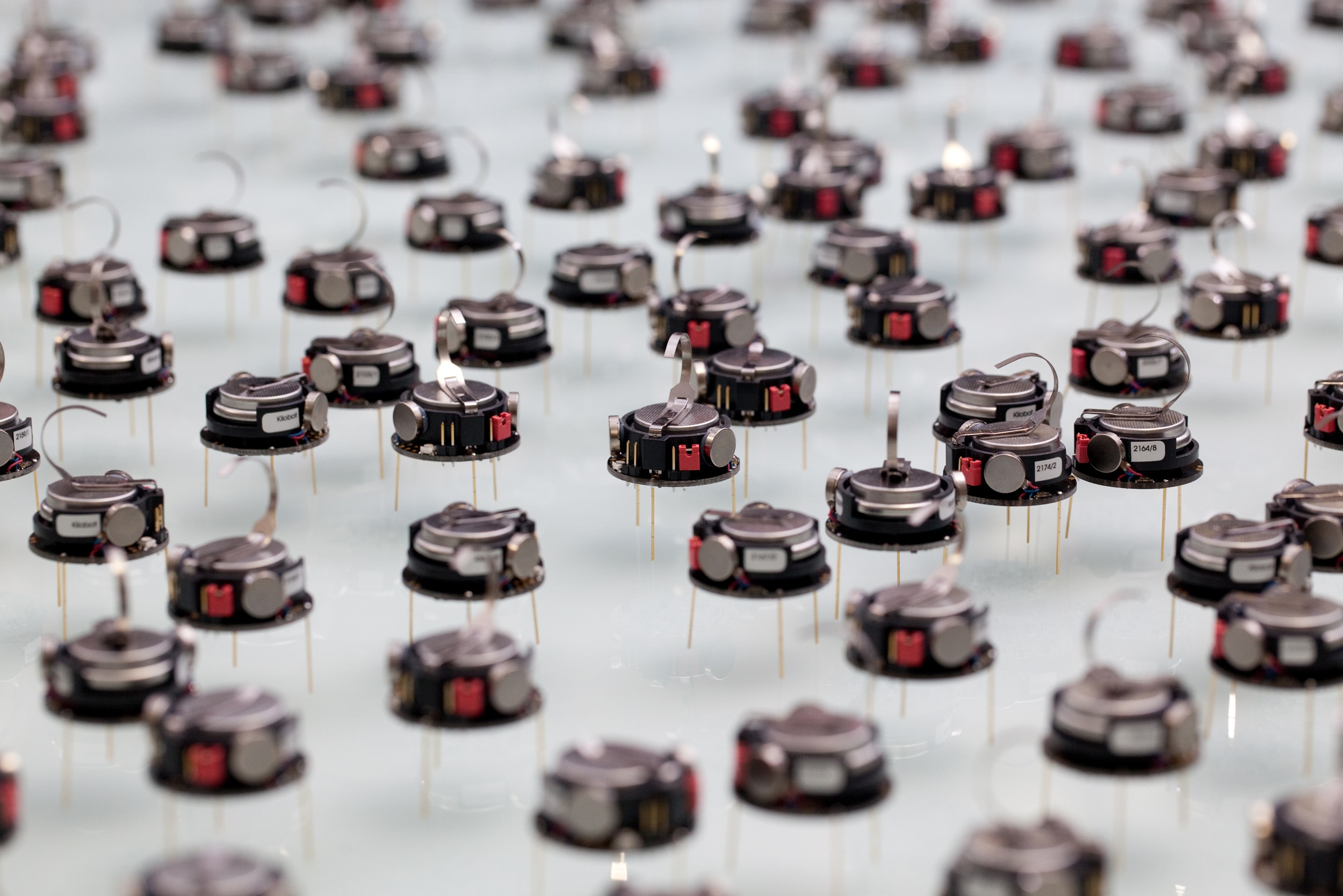 / The social animals are inspiring new behaviors for robot swarms