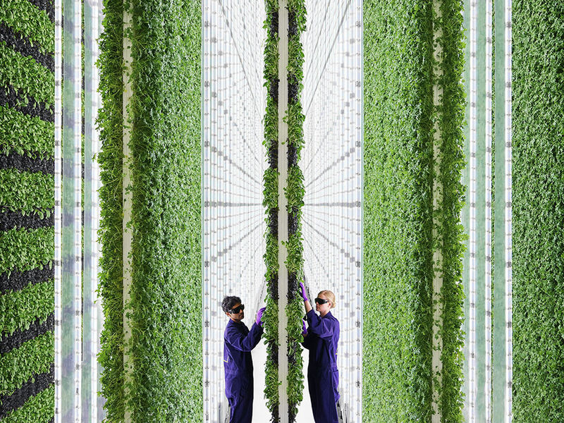 Visual of 3 future farms that can feed the planet and heal it too