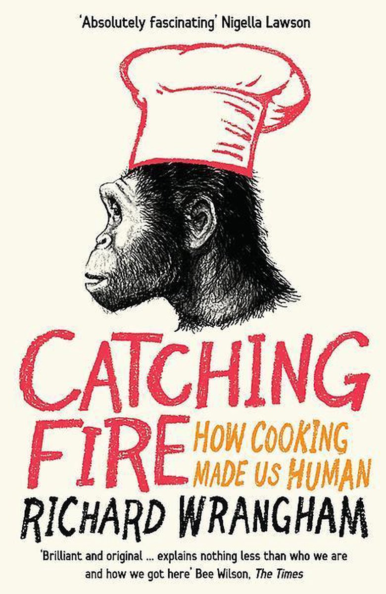 Visual of This book explains why cooking food was essential to human evolution