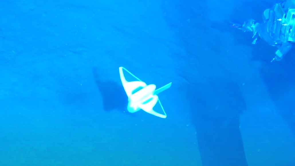 Visual of Fish-inspired soft robot takes a deep dive