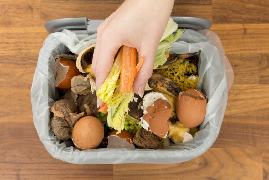Visual of We could power households from the scraps in our food waste bins
