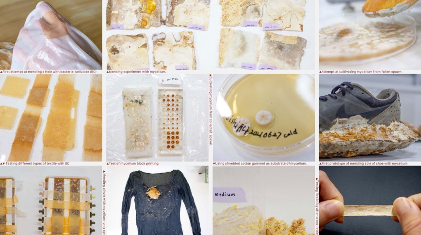 Visual of Next Generation: Mending with mycelium by Emma Huffman