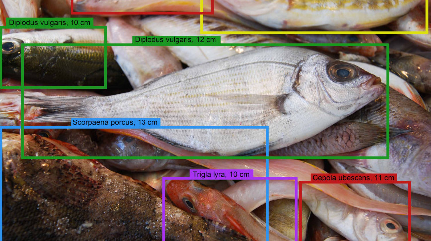 Visual of The information age is starting to transform fishing worldwide
