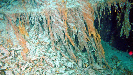 Visual of Bacteria might have eaten the Titanic's wreckage by 2030
