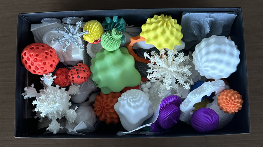Visual of A shoebox of fractal flowers