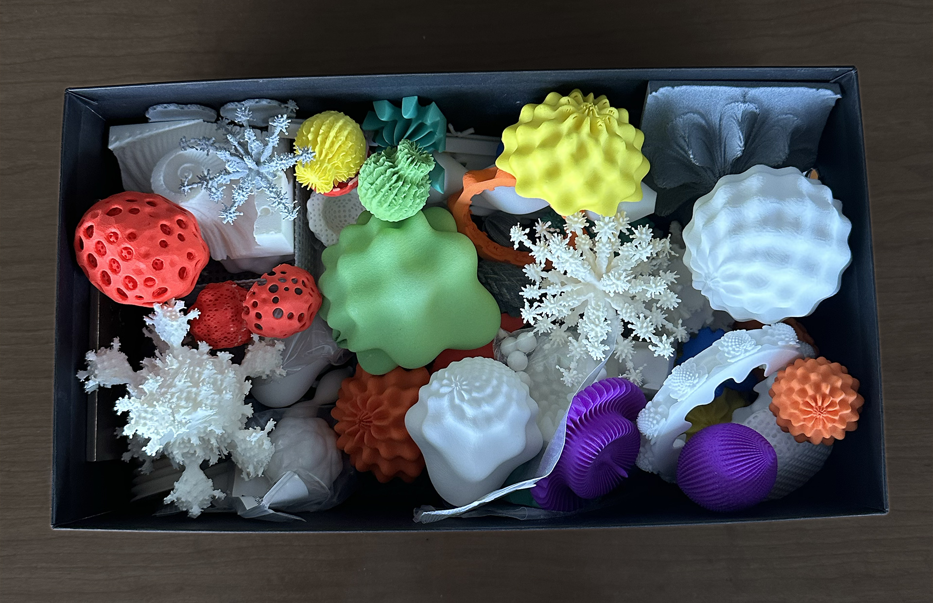 Visual of A shoebox of fractal flowers