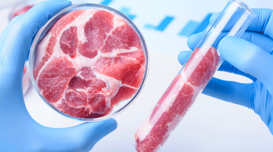 Visual of Meat the future: the Netherlands might soon become a global hub for in vitro meat