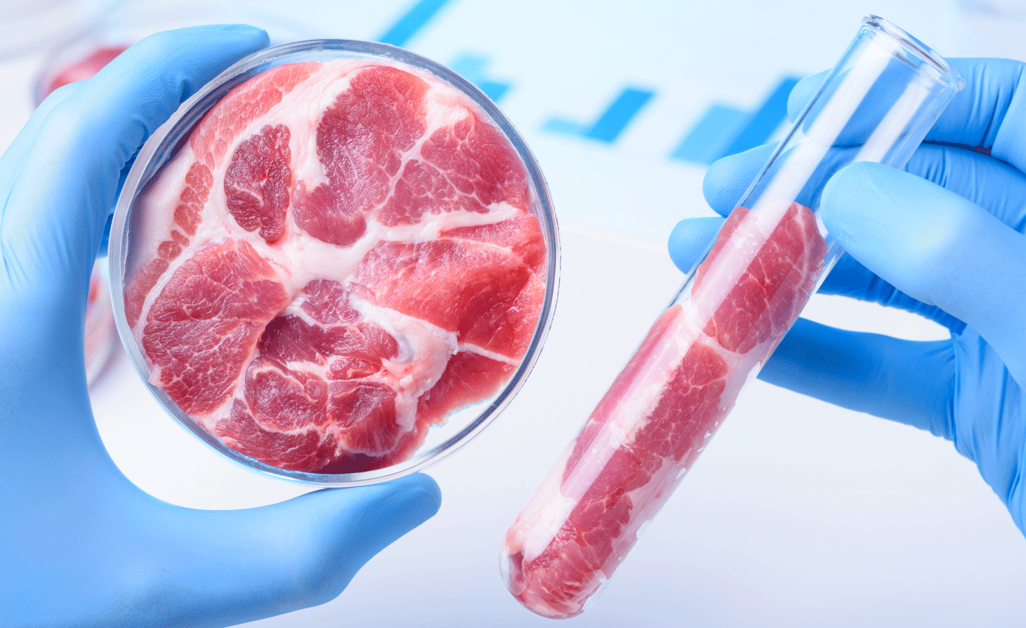 Visual of Meat the future: the Netherlands might soon become a global hub for in vitro meat